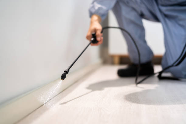 Licensed Cockroach Control service in China Grove, NC - Nex Pest Control