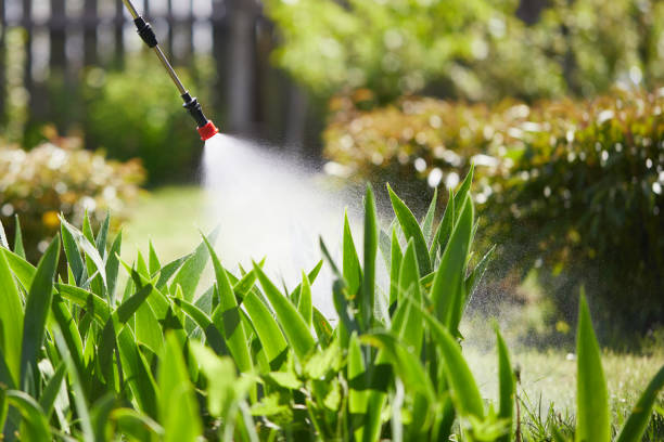 24/7 Emergency Cockroach Control experts in China Grove, NC