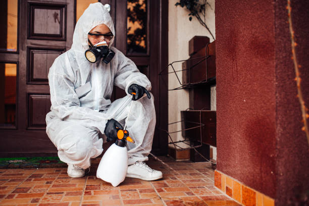 Reliable Cockroach Control contractor in China Grove, NC by Nex Pest Control