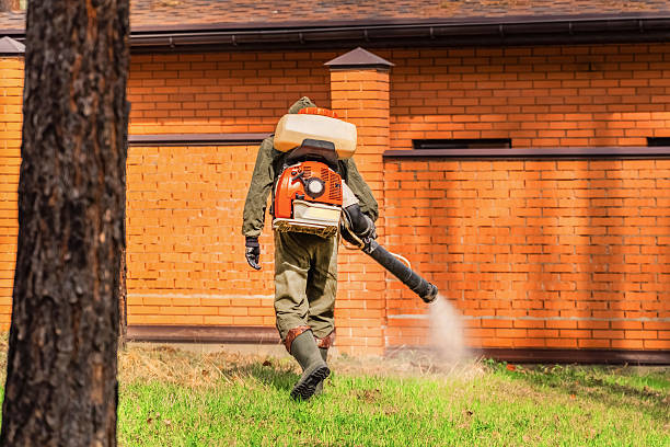 Trusted Cockroach Control service in China Grove, NC - Nex Pest Control